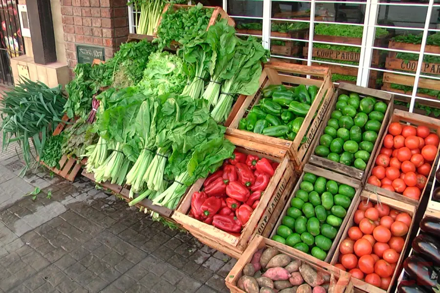 Nuevo local de cooperativa hort&iacute;cola "El Parque" (foto Elonce)