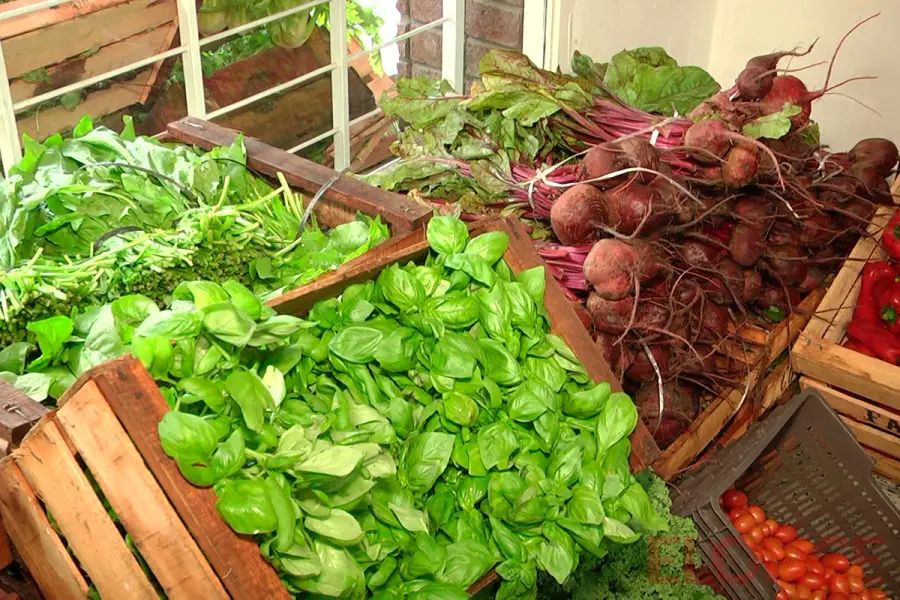 Nuevo local de cooperativa hort&iacute;cola "El Parque" (foto Elonce)