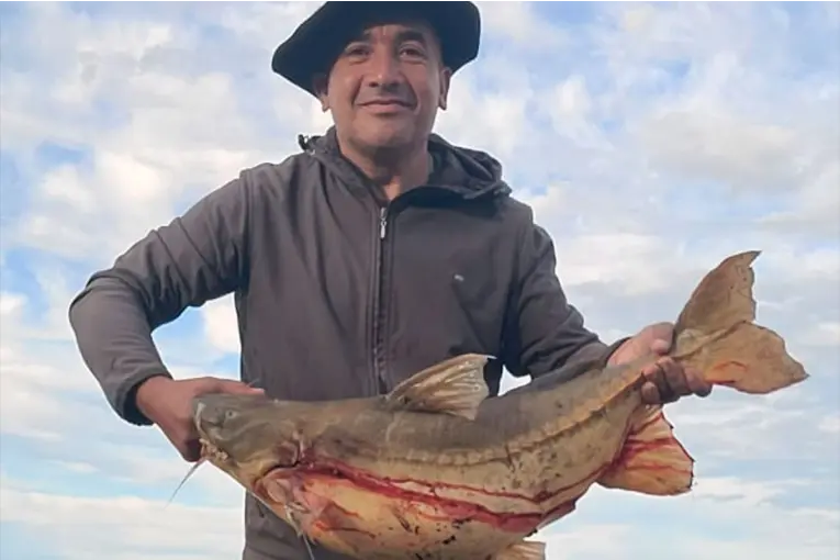Pescaron un armado de 13 kilos en el río Paraná a la altura de Diamante: "fue una emoción"