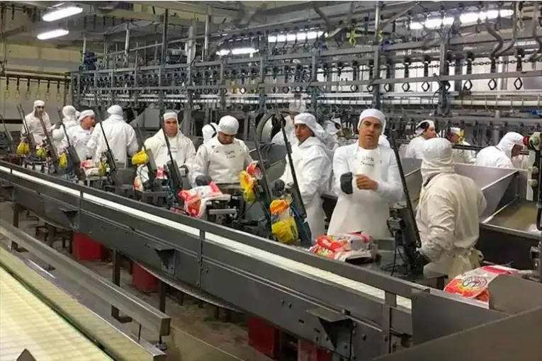 Granja Tres Arroyos: productores integrados advierten por deudas, caída de ingresos e incertidumbre en el sector avícola
