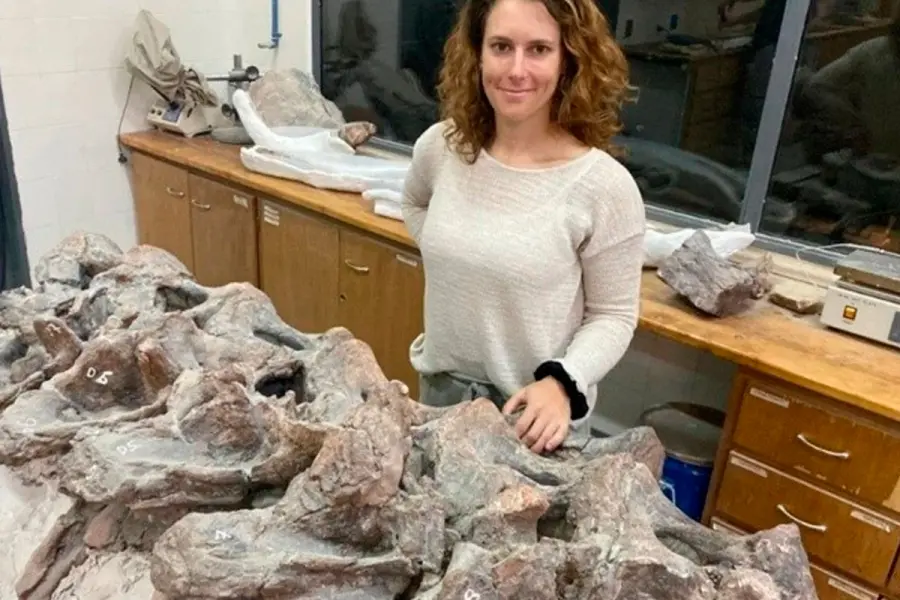 Restos f&oacute;siles encontrados en Chubut.