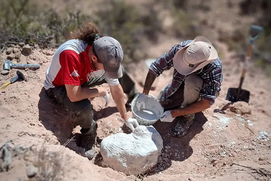 Hallazgo cocodrilo en R&iacute;o Negro.