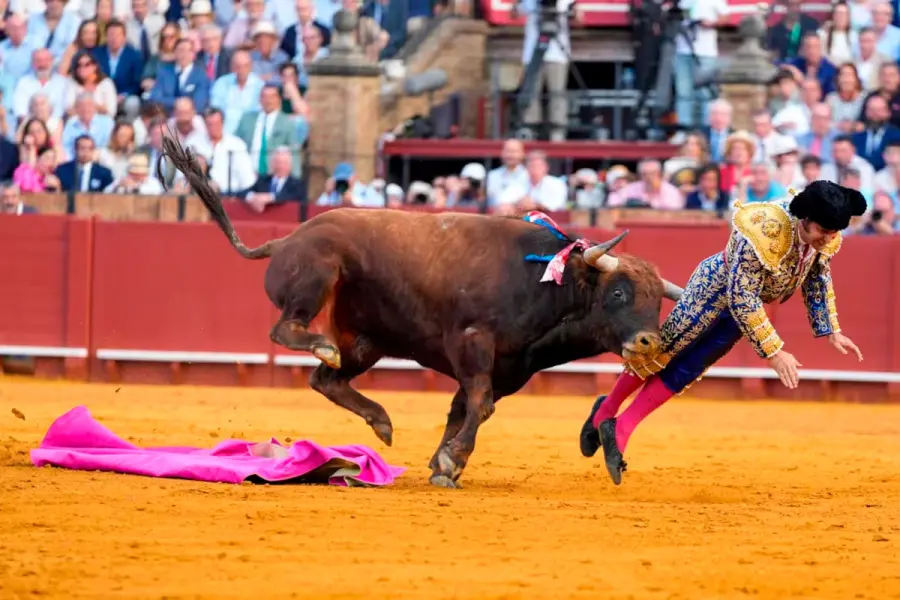 Torero herido en Espa&ntilde;a.