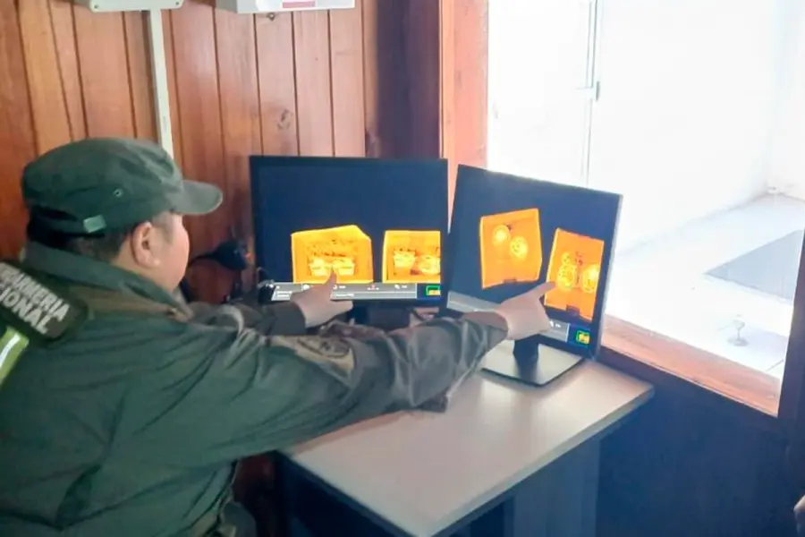 Rescataron cr&iacute;as de serpientes enviadas en una encomienda (foto Gendarmer&iacute;a Nacional)