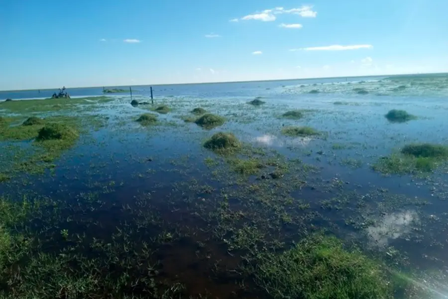Foto: Clar&iacute;n.