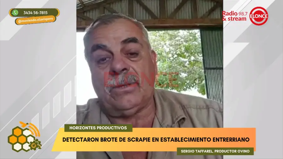 Sergio Taffarel habl&oacute; en Moviendo el Avispero. Foto: Elonce.