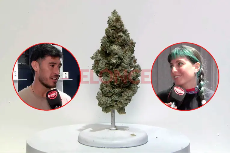 Marcha Mundial de la Marihuana en Paraná: habrá atención en medicina clínica, mental y veterinaria