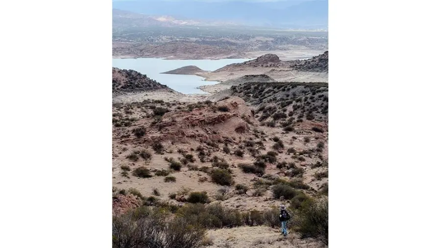 Localidad de procedencia de los f&oacute;siles, Potrerillos, cordillera de los Andes, provincia de Mendoza