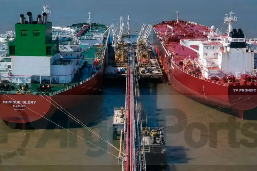 Carga r&eacute;cord en Puerto Rosales. (Foto: Argenports).