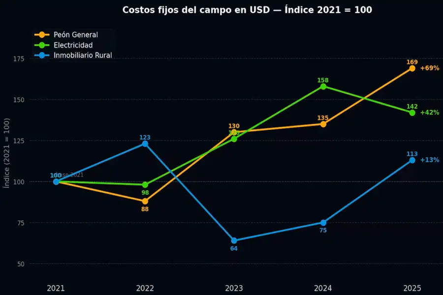 As&iacute; Diego grafic&oacute; "c&oacute;mo se movieron los costos fijos" en su campo desde 2021 (Foto: x/AgroConceptos).