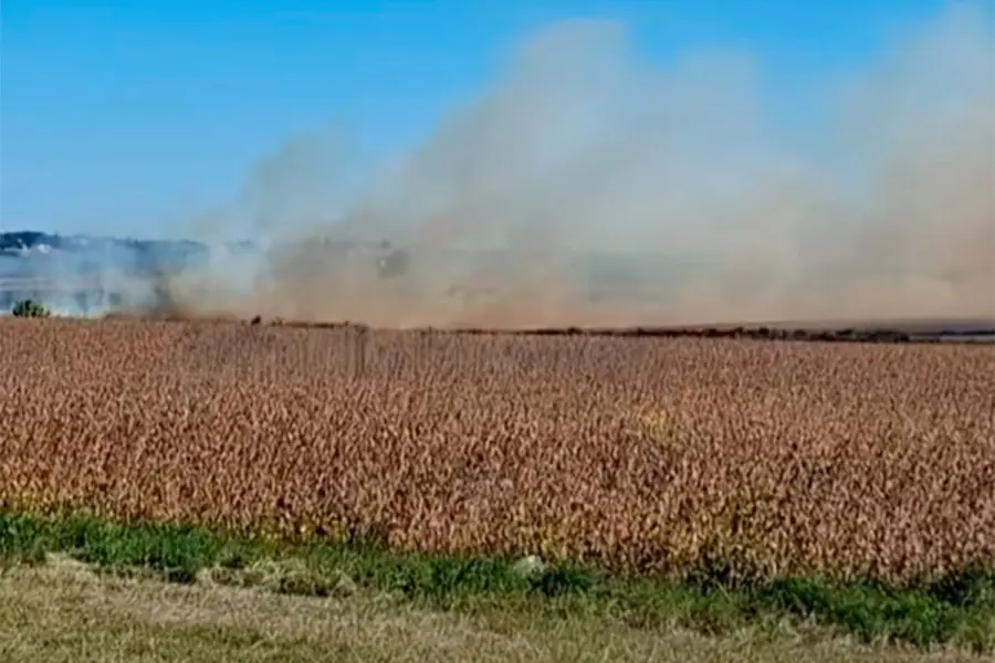 Foto: Captura de video.