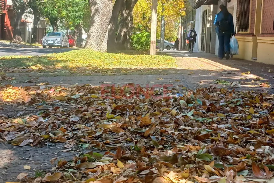 Oto&ntilde;o en Paran&aacute; (foto Elonce)