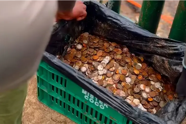 Encontraron 400 kilos de monedas en el Parque Nacional Iguazú