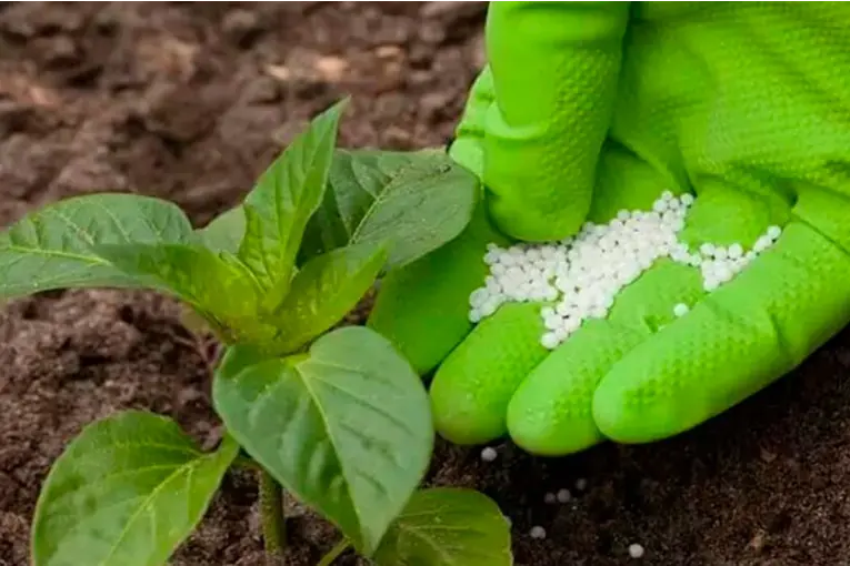 Fertilizantes: advierten fuertes aumentos y preocupación en el agro