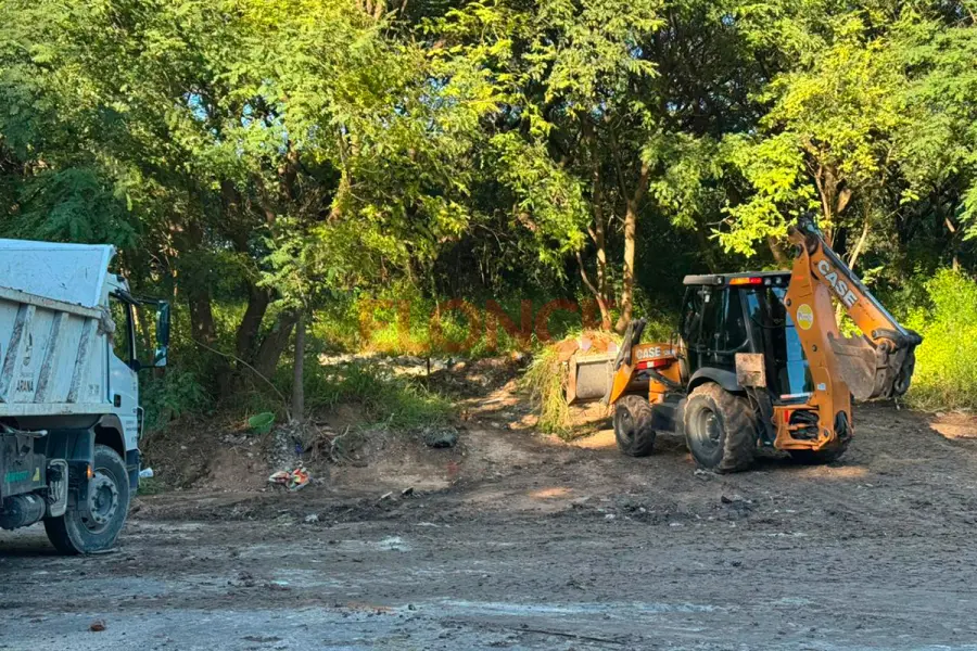 Limpieza en Parque Varisco (foto Elonce)