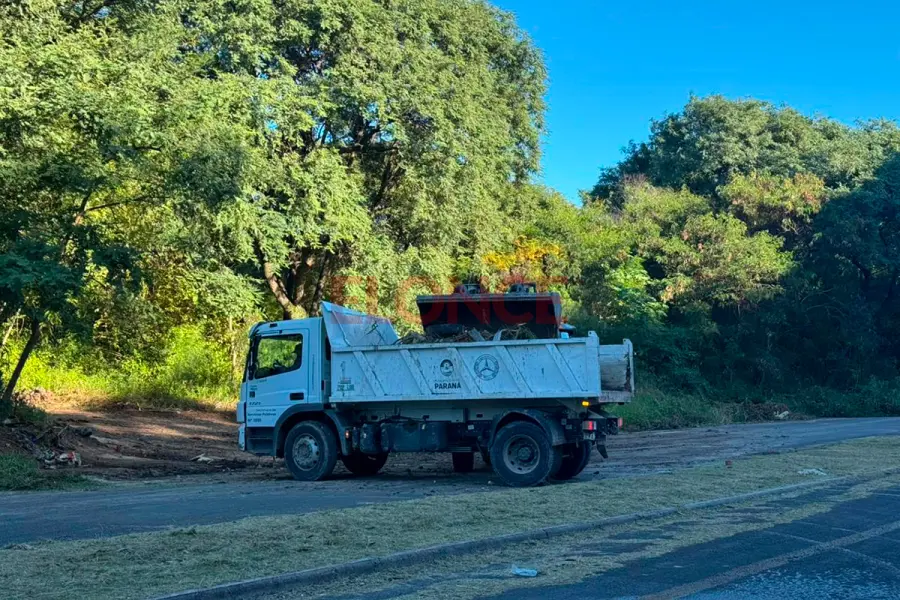 Limpieza en Parque Varisco (foto Elonce)