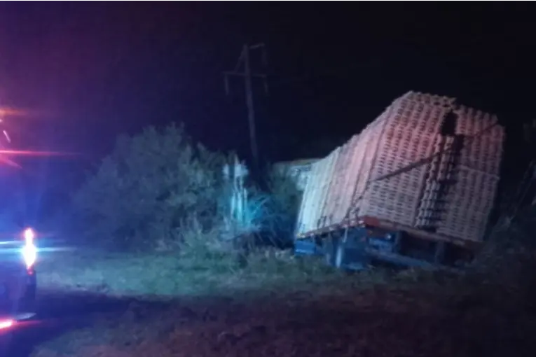 Un camión cargado con madera despistó en la Ruta 12 y quedó incrustado en un alambrado