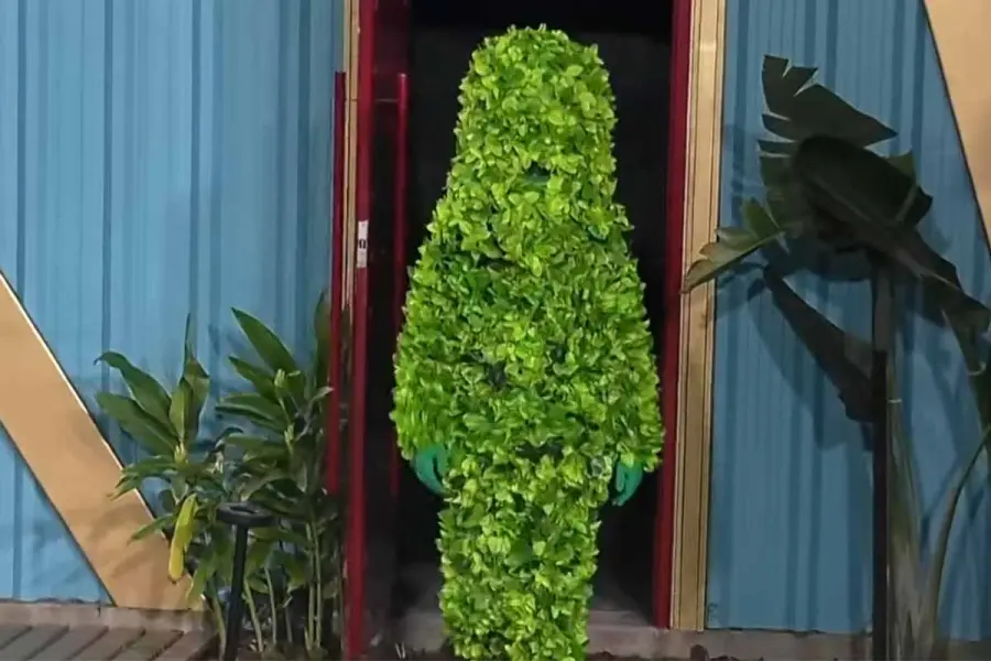 La planta se llev&oacute; a Grecia y Lolo