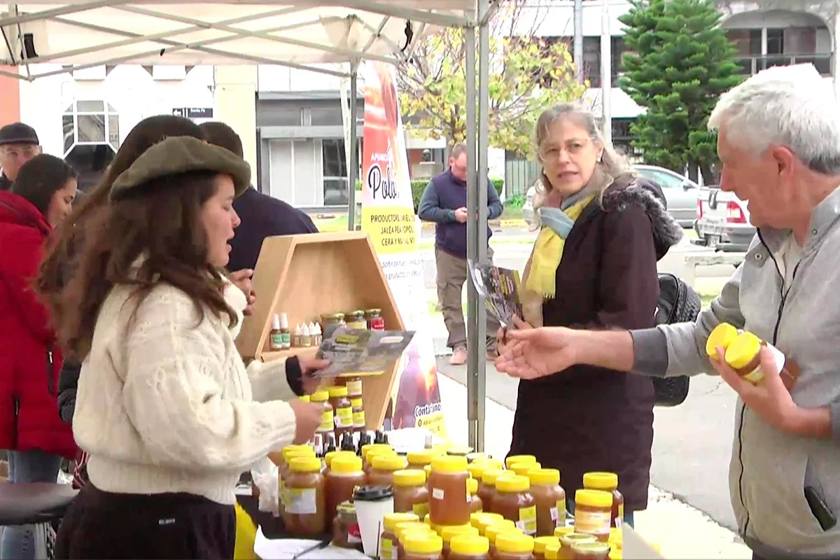 Feria de apicultores en Plaza Mansilla