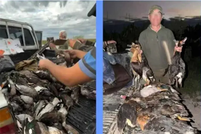 Investigan la caza ilegal de más de 300 animales en el norte de Santa Fe