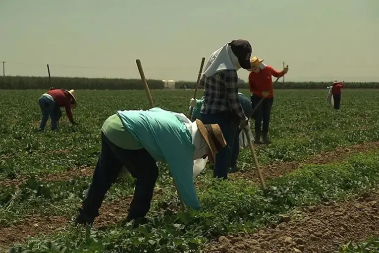 Trabajador rural: cuánto cobra en mayo 2026 tras la nueva suba salarial