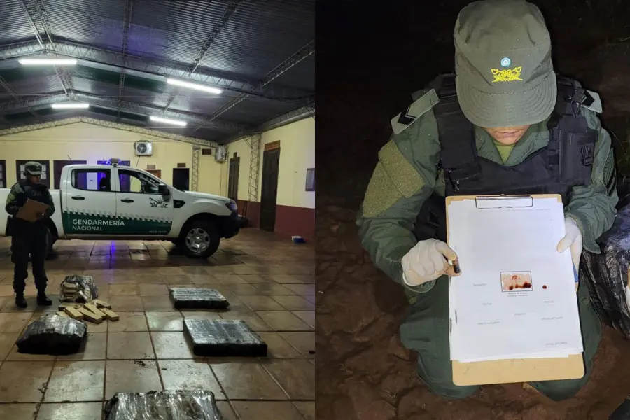 Droga en el r&iacute;o Paran&aacute;.