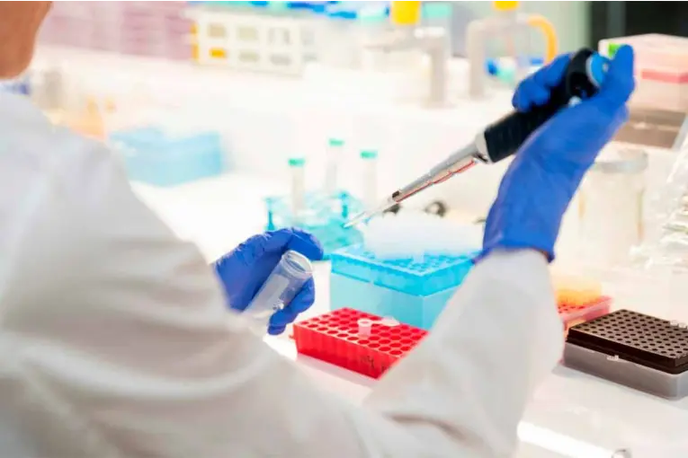 Nació en Argentina el primer cerdo clonado para futuros trasplantes a humanos