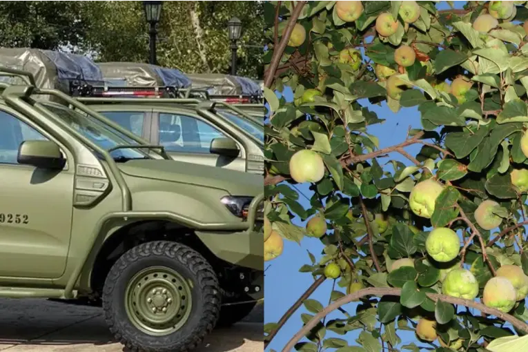 El Ejército intercambia una tonelada de membrillos para conseguir repuestos de una camioneta