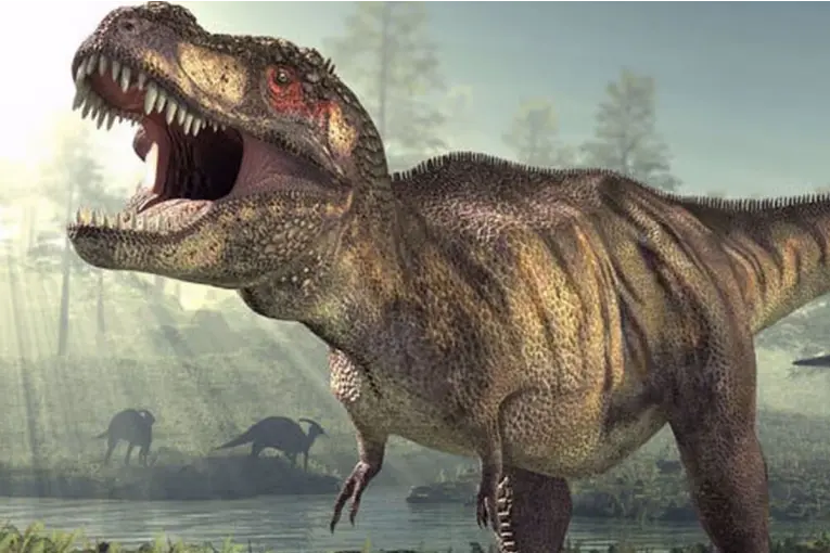 Descubrieron la verdadera razón de los pequeños brazos del Tiranosaurio Rex