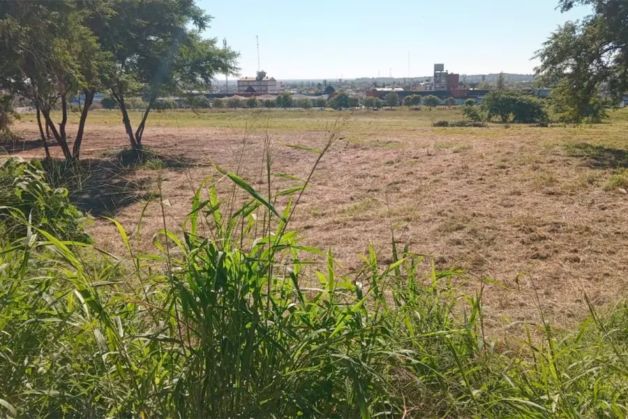 Limpieza en terrenos del ex hip&oacute;dromo (foto Municipalidad de Paran&aacute;)