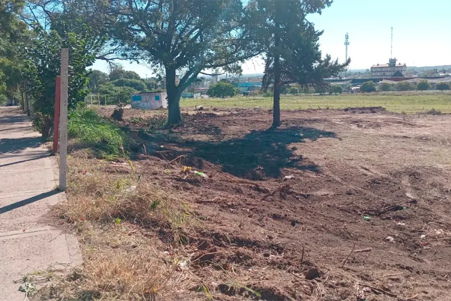 Limpieza en terrenos del ex hip&oacute;dromo (foto Municipalidad de Paran&aacute;)
