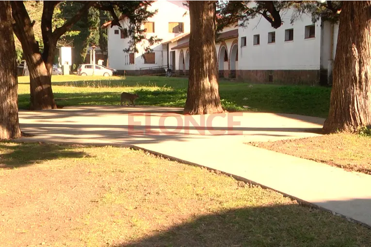 Hospitales saludables: construyen una plazoleta en el ingreso al geriátrico Pascual Palma