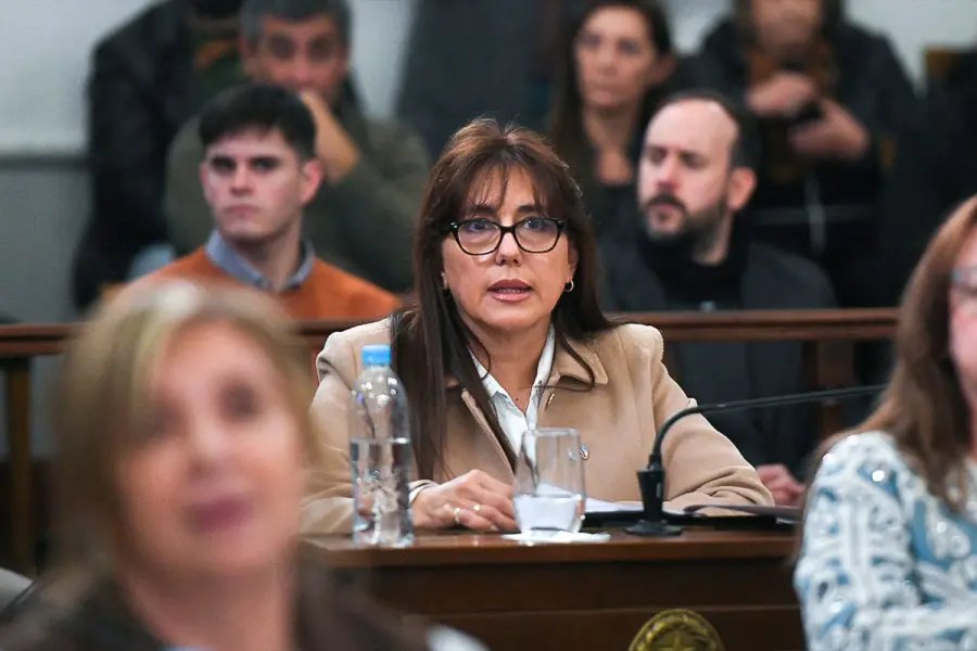 Senadora Gladys Dom&iacute;nguez.