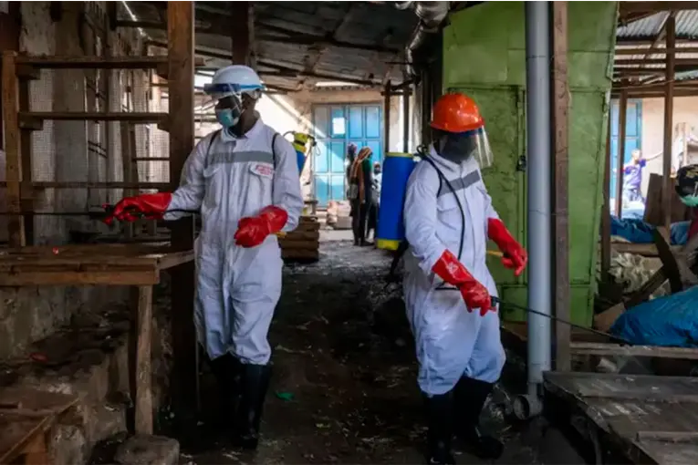 Ébola: activaron protocolos sanitarios en Argentina por embarcaciones provenientes de zonas de riesgo