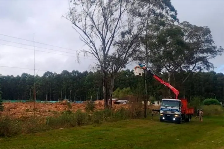 Talaron un árbol y dejaron sin luz a dos localidades entrerrianas: cayó sobre una línea de tensión