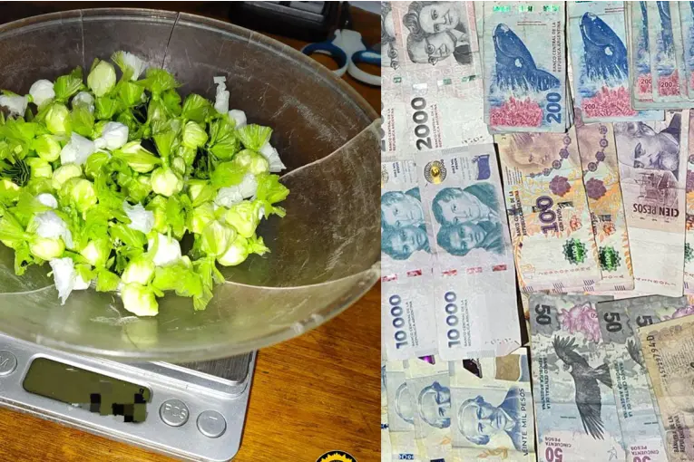 Secuestraron droga, armas y detuvieron a cuatro personas en allanamientos en Concepción del Uruguay