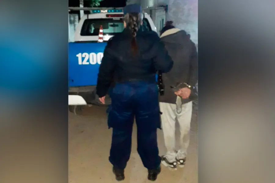 La mujer detenida