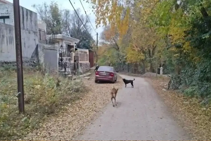 Lugar donde encontraron el cráneo.