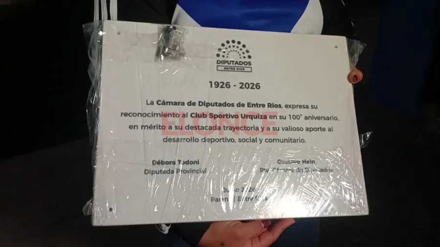 La placa recibida por Diputados. Foto: Elonce.