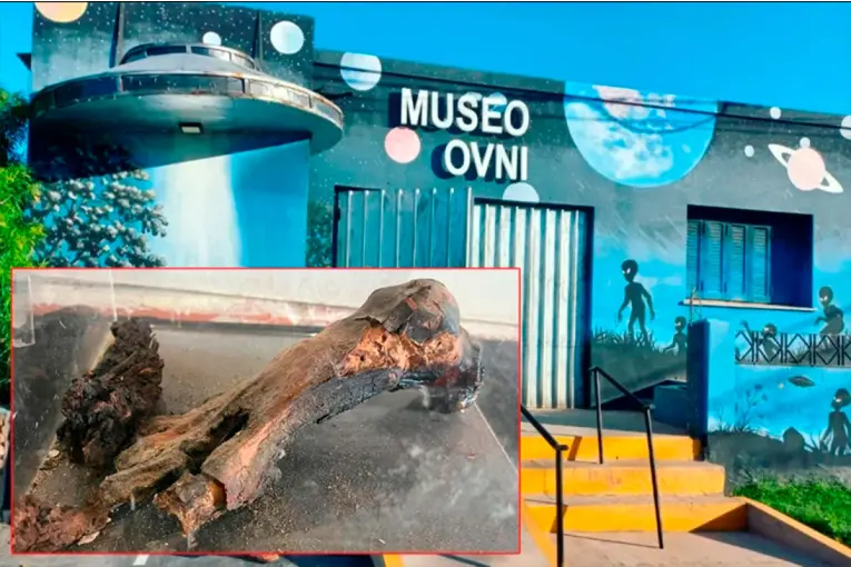 Pie de momia: restituyeron a Perú la pieza arqueológica hallada en el Museo del Ovni