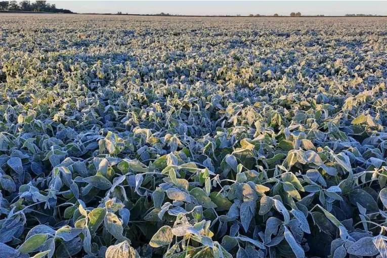 El Gobierno aprobó el Plan Invierno 2026 para coordinar la respuesta ante emergencias climáticas