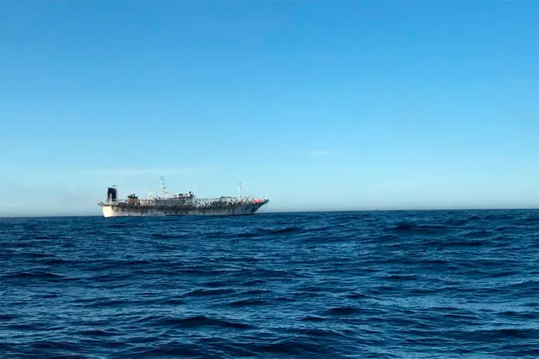 Flotas extranjeras capturan hasta cuatro veces más que la pesca argentina