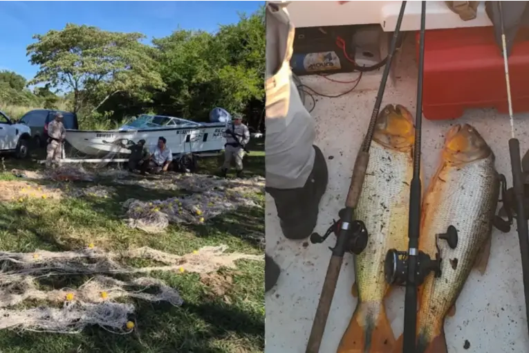 Cayeron pescadores furtivos en el río Paraná: secuestraron redes y peces protegidos