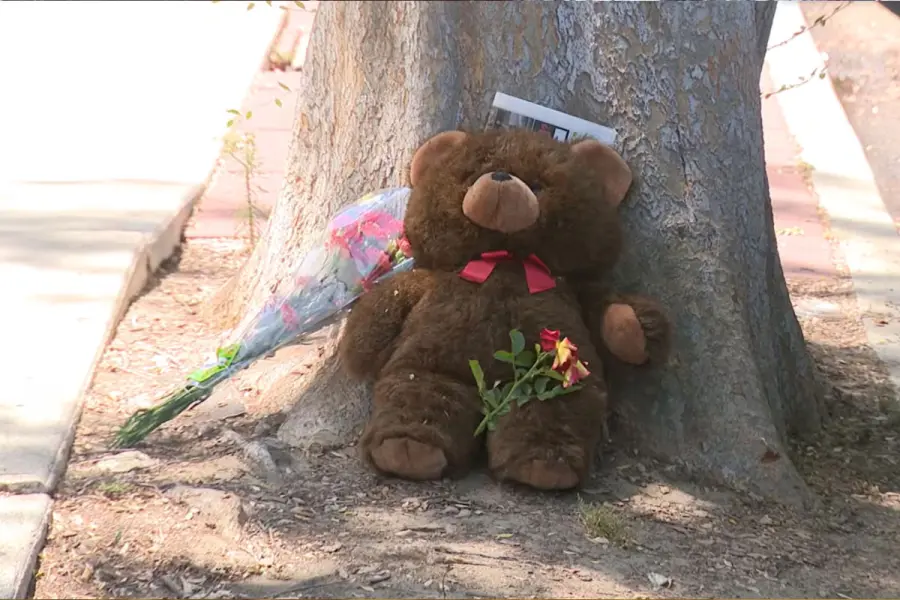 Vecinos dejaron flores y peluches en homenaje a los mellizos. Foto: gentileza KTLA.
