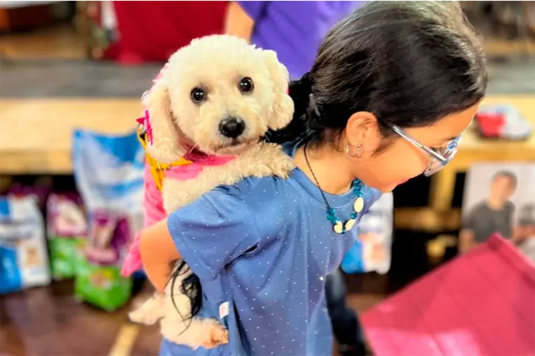 Organizan un festival solidario para ayudar a perros rescatados en Paraná