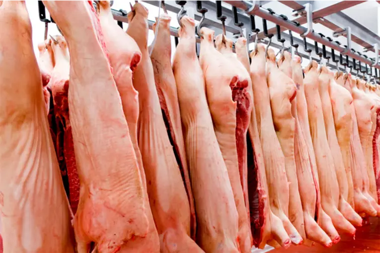 Decomisaron 100 kilos de carne porcina por faena clandestina y 110 cerdos sin documentación