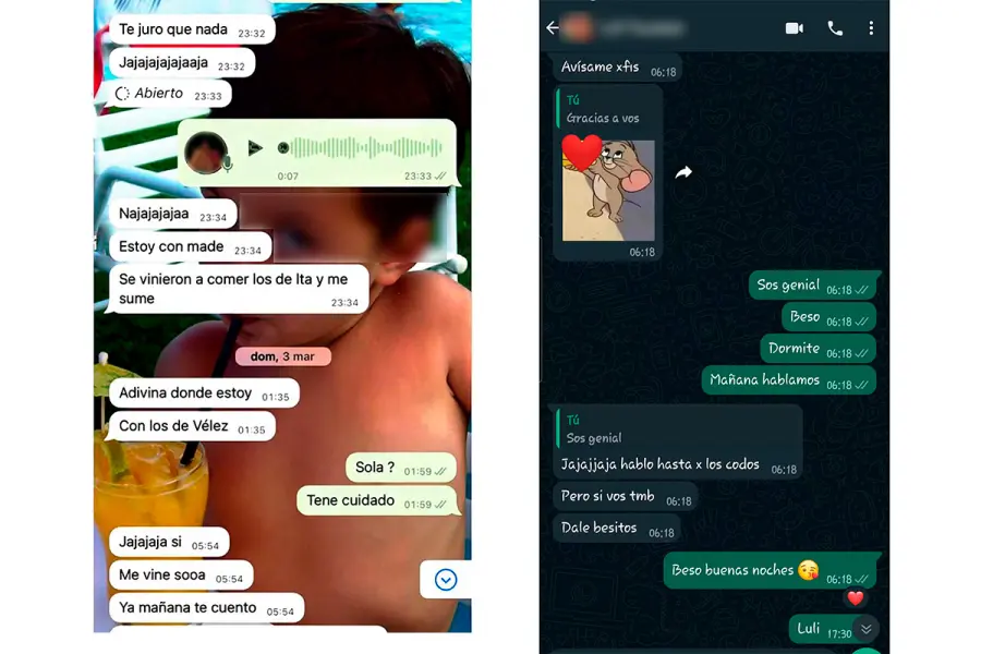 Los chats de la denunciante (foto Infobae)