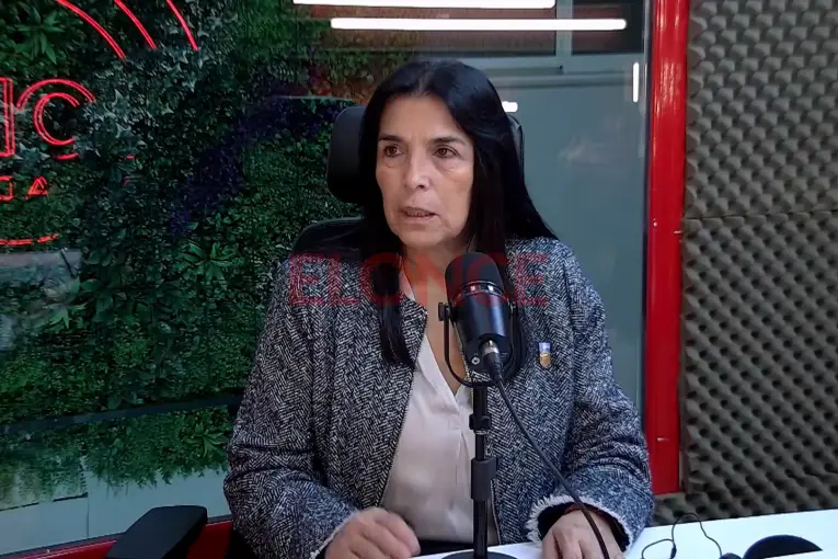 Alicia Aluani defendió la reforma previsional y aseguró que es clave para la sostenibilidad de la Caja de Jubilaciones