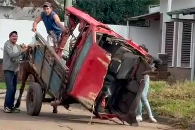 Presunto maltrato animal: un caballo que fue utilizado para arrastrar partes de un auto en Gualeguaychú