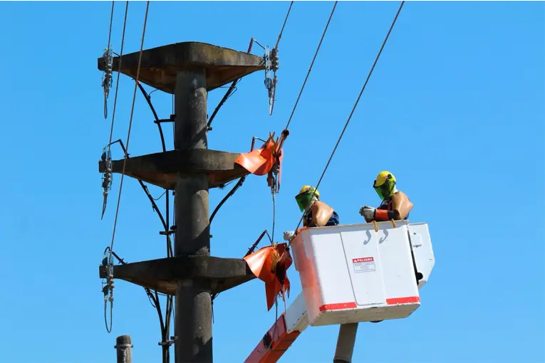 Enersa realizará mantenimiento en la línea de alta tensión Chajarí-Los Conquistadores: la zona afectada
